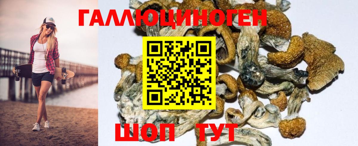 Обь  Галлюциногенные грибы ЛСД  Вход с VPN  Галлюциногенные грибы MAGIC MUSHROOMS 