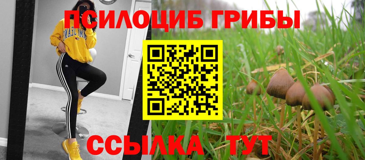Галлюциногенные грибы Cubensis Обь